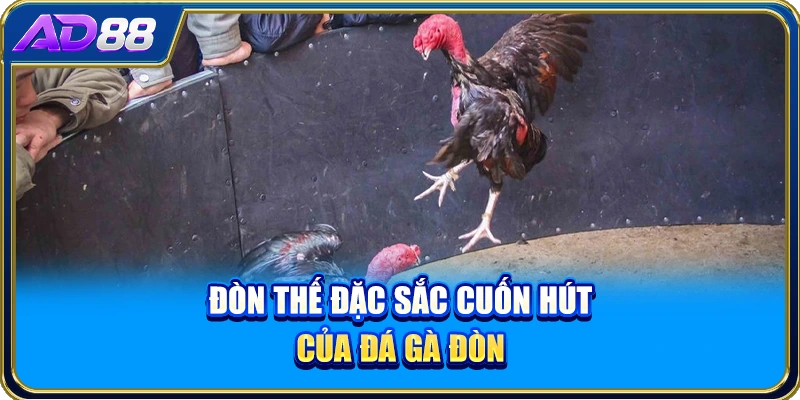 Đòn thế đặc sắc cuốn hút của đá gà đòn